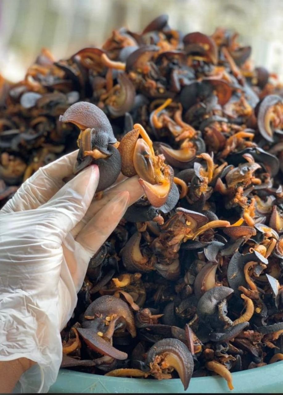 quality dried snails